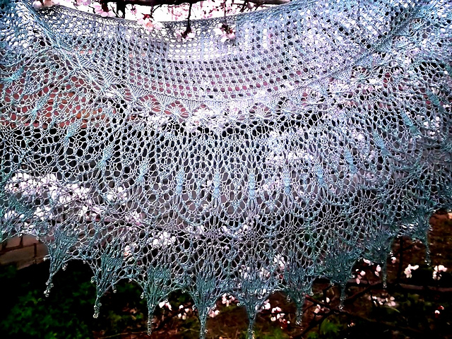 Beautiful Elena Shawl