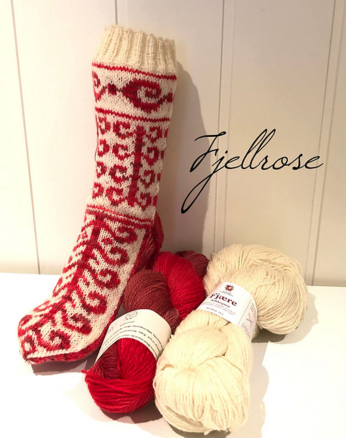 Fjellrose