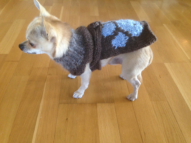 Hundegenser Dogsweater
