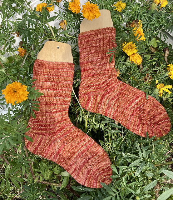 Snuggly Toe Up Socks