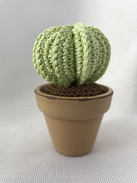 Sphere cactus
