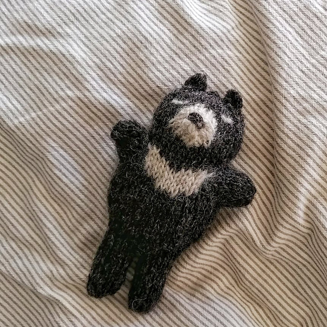 Sunny Sun Bear