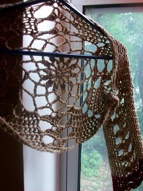 Chrysanthemum Shrug