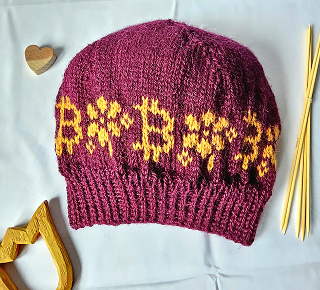 A Bitcoiners Spring Beanie