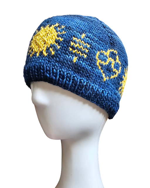 Summer Sun & Satoshis Beanie