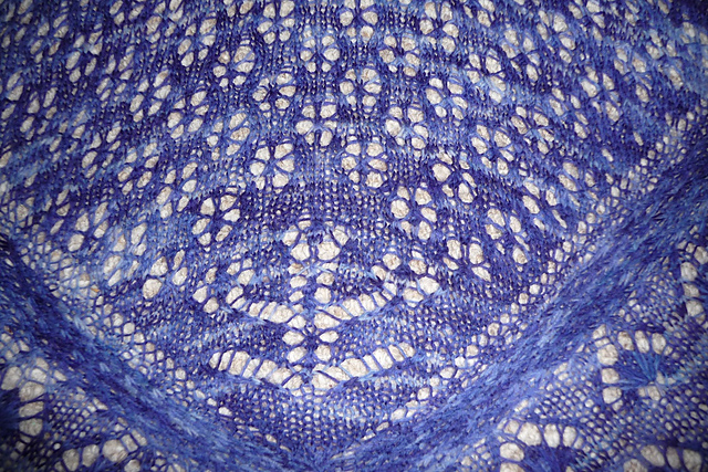 Chicory Shawl