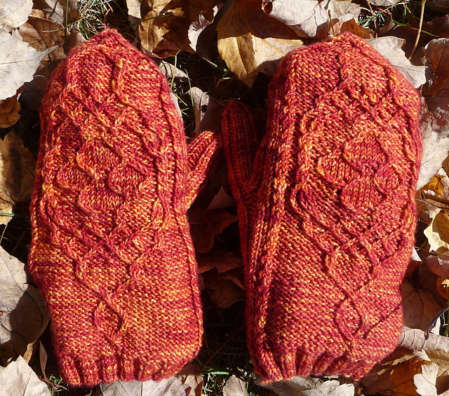Nasturtium Mittens