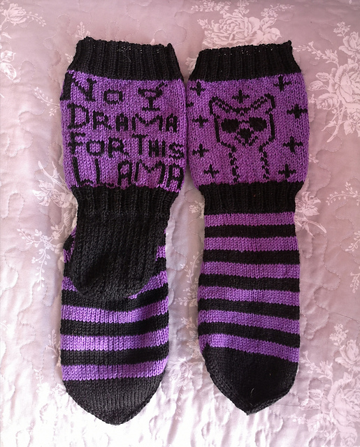 No drama for this Llama