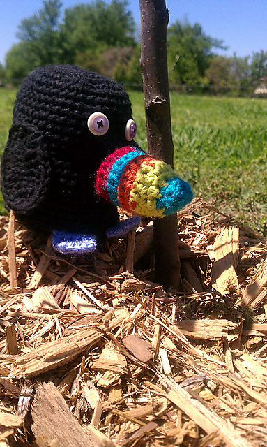 Toucan Amigurumi