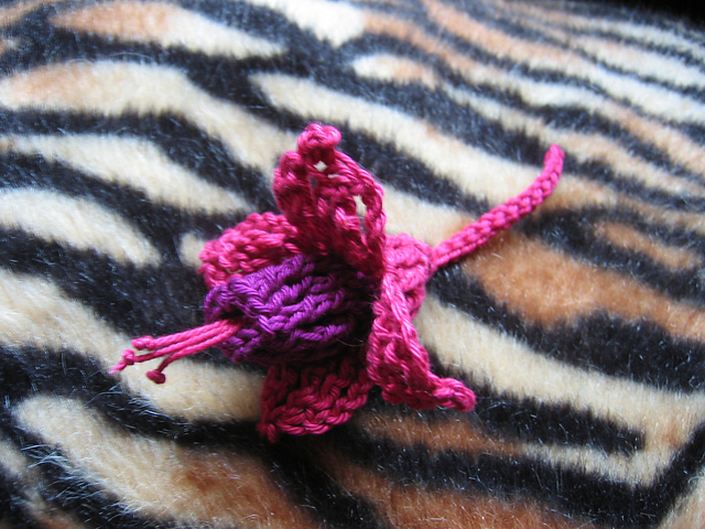 Fuchsia flower