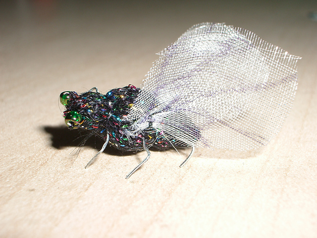 Fly