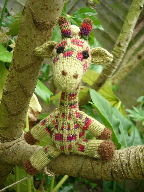 Safari Sweeties Giraffe
