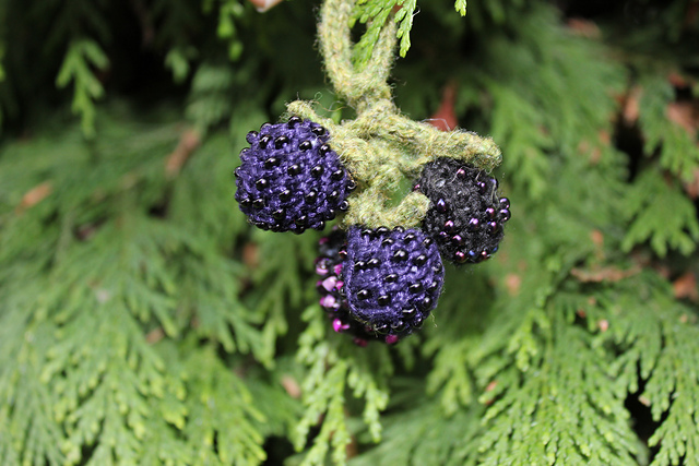 Blackberry