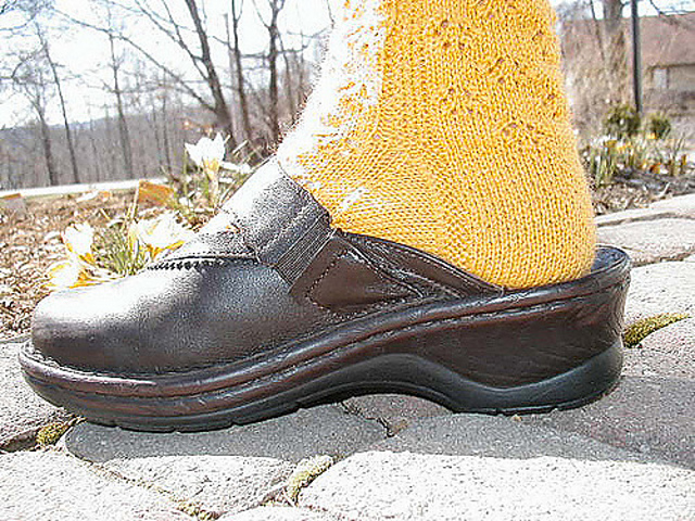 Field of Flowers Socks