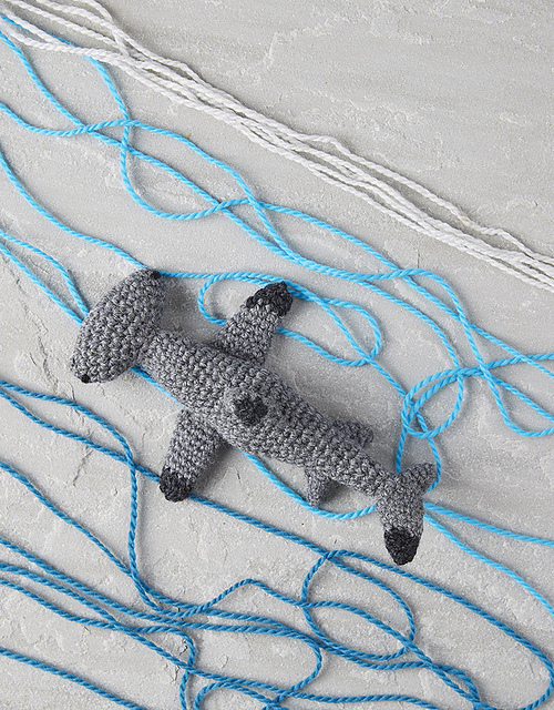 Mini Hammerhead Shark