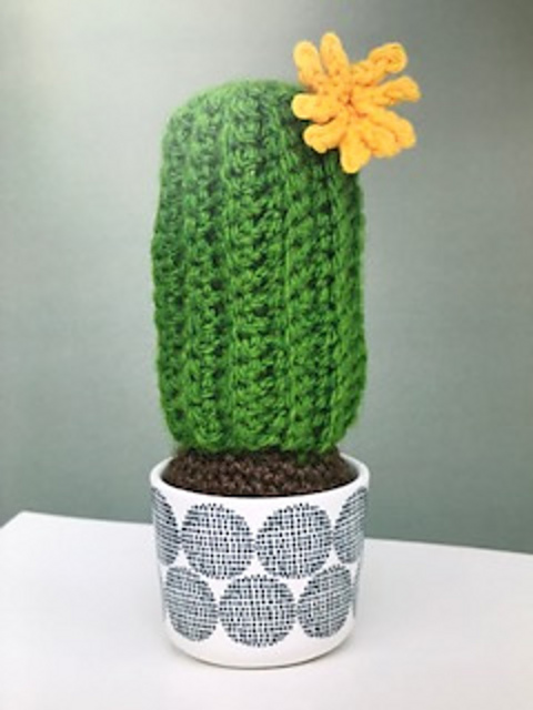 Mexican Giant Cardon