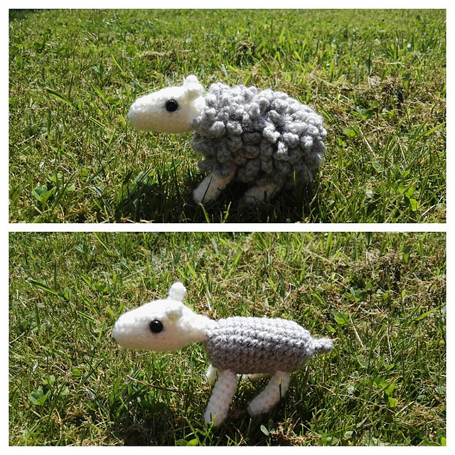 Shorn the shaveable sheep