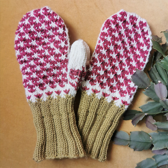Novemberkaktus Mitten