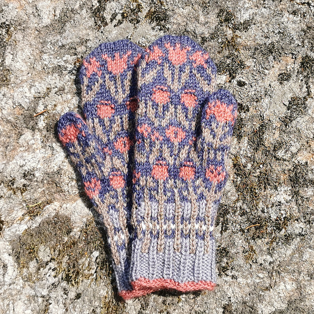 Fjolårsljungen Mittens