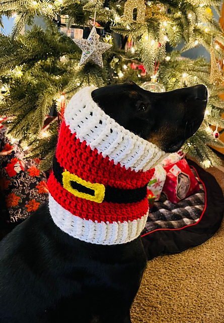 Santa Claus Dog Snood