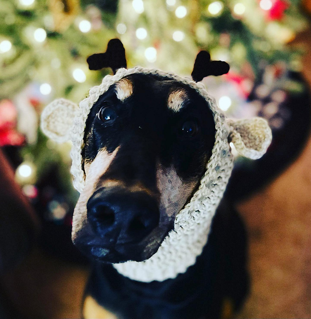 Antler Dog Snood Scarf