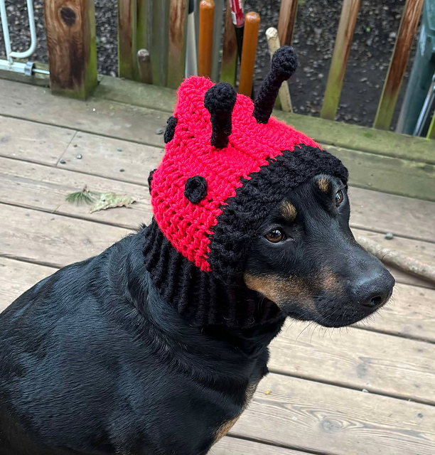Ladybug Dog Cowl Snood