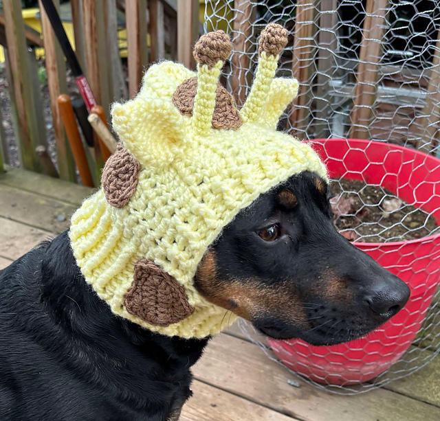 Giraffe Dog Cowl