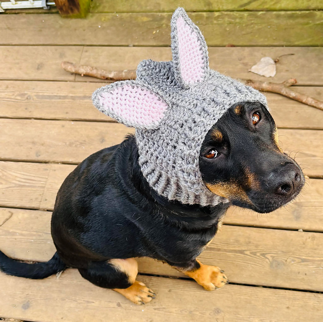 Bunny Rabbit Dog Cowl