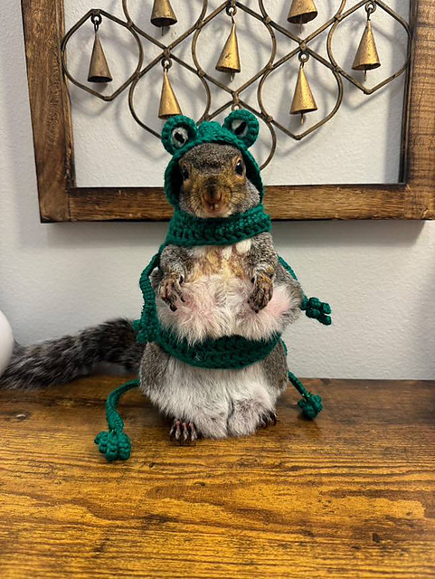 Small Animal Frog Costume