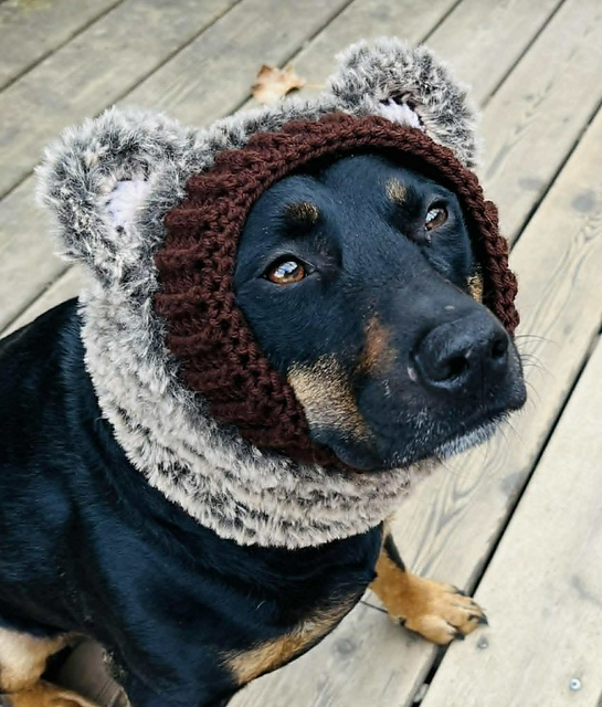 Furry Bear Dog Snood