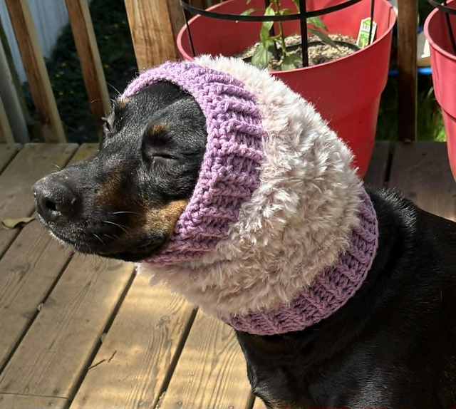 Furry Dog Snood