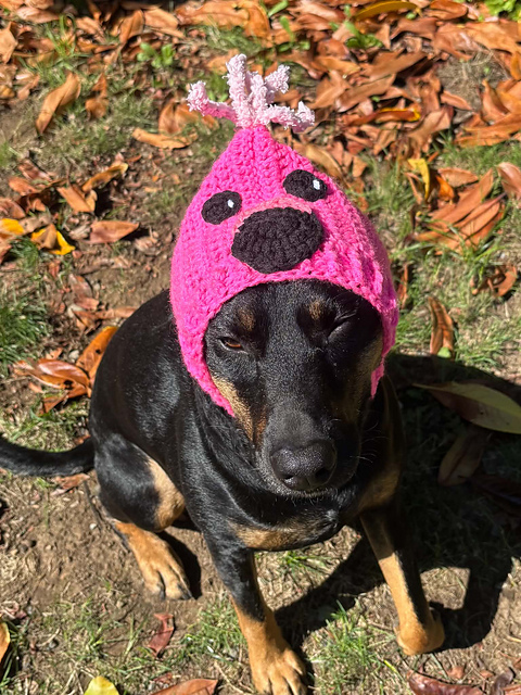 Flamingo Dog Cowl Snood