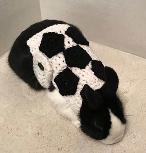 Rabbit Soccer Sweater