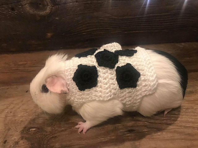 Guinea Pig Soccer Ball Costume