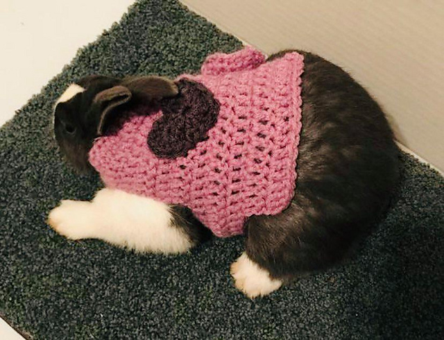 Rabbit Heart Sweater