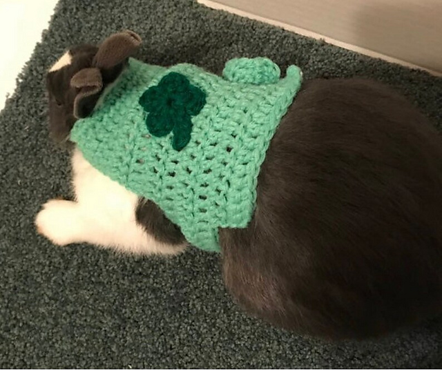 Rabbit Shamrock Sweater