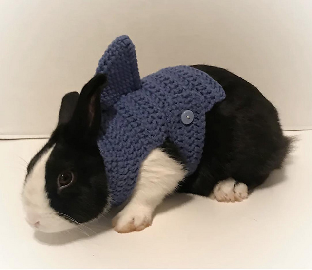 Rabbit Shark Costume