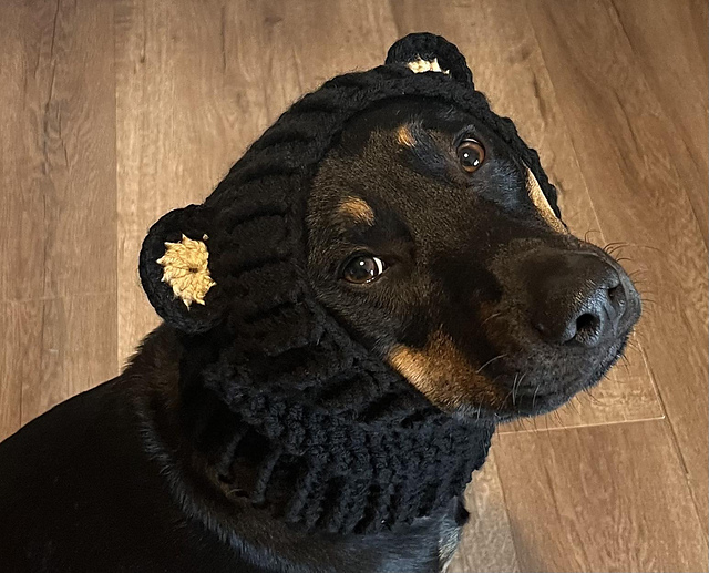 Bear Dog Snood Cowl