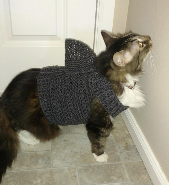 Cat Shark Sweater