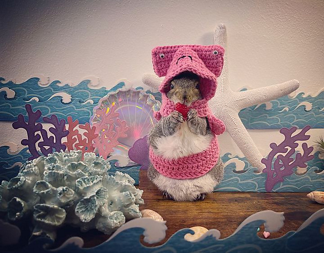 Small Animal Hammerhead Shark Costume