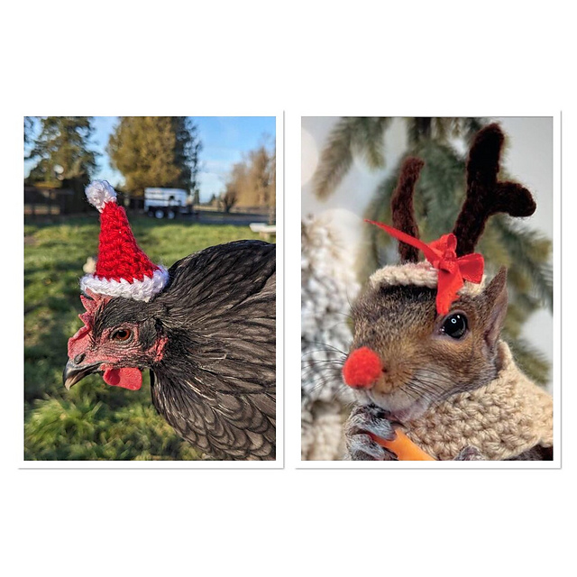 Small Animal Christmas Hats