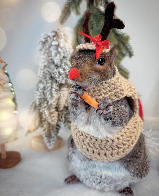Small Animal Reindeer Costume