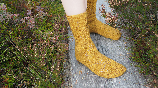 Mimosa Socks