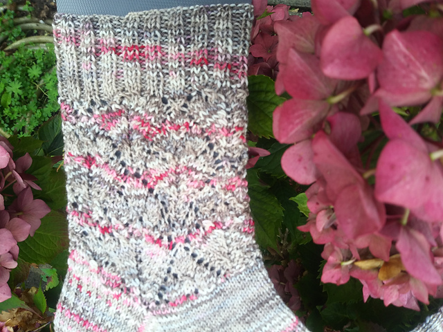 Lace Socks