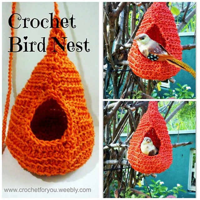 Bird Nest