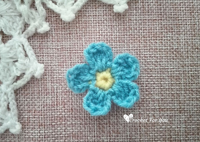 Forget Me Not Flower