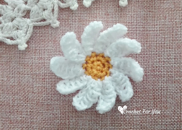Daisy Flower