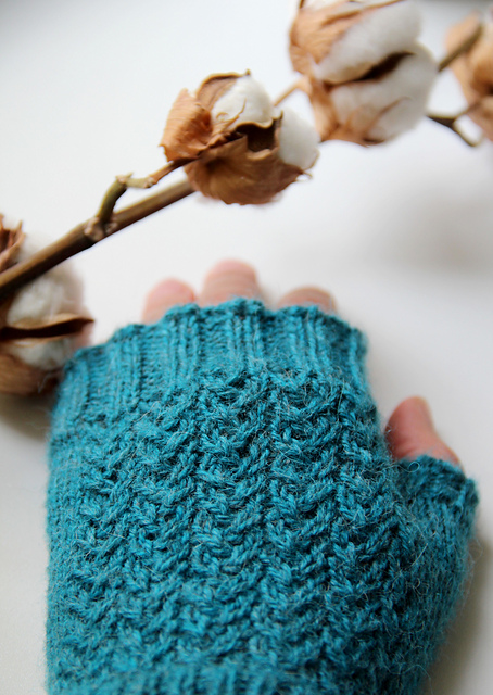 Vitis Mitts