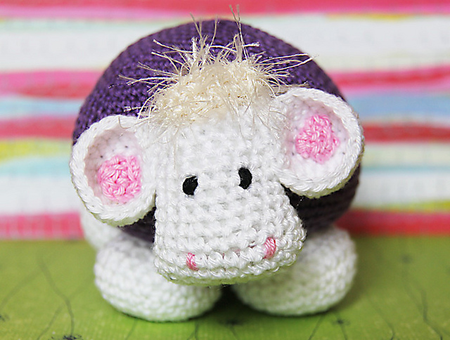 Koekeridoo schaap