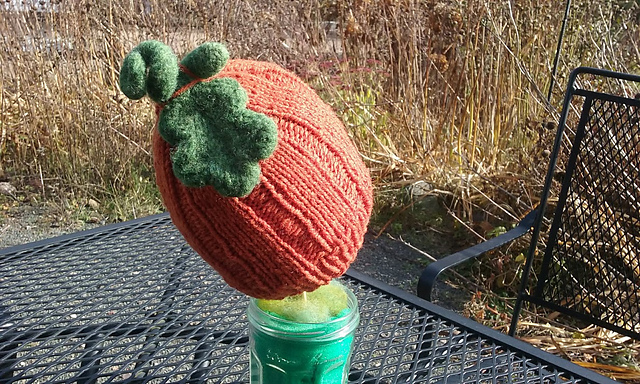 Baby Pumpkin Hat